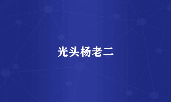 光头杨老二