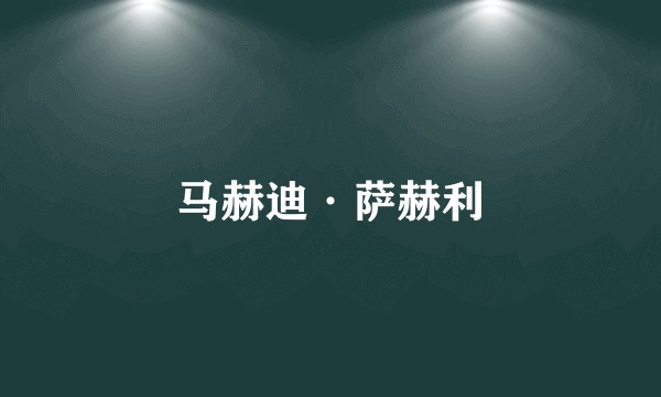 马赫迪·萨赫利