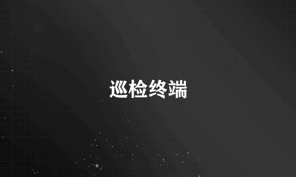 巡检终端
