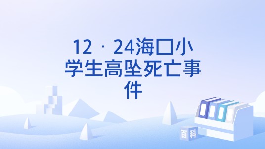 12·24海口小学生高坠死亡事件