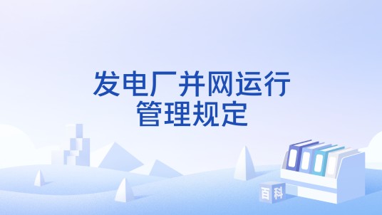 发电厂并网运行管理规定