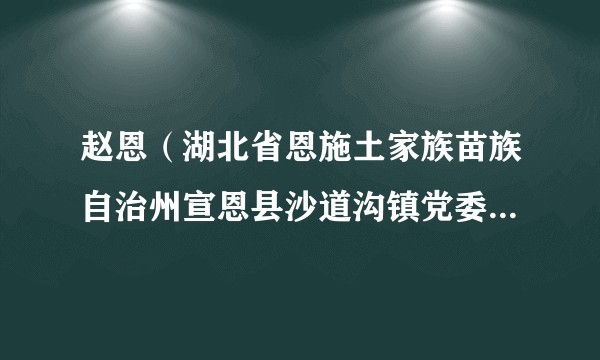 赵恩（湖北省恩施土家族苗族自治州宣恩县沙道沟镇党委副书记、政法委员）