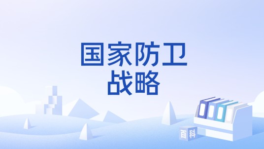 国家防卫战略