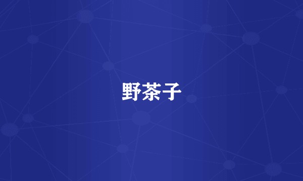 野茶子
