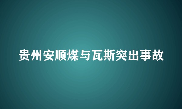 贵州安顺煤与瓦斯突出事故