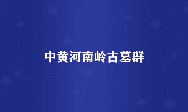 中黄河南岭古墓群