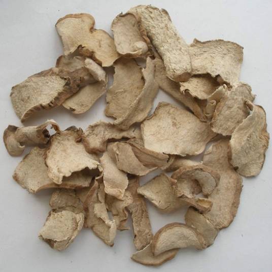 绵萆薢（中药）