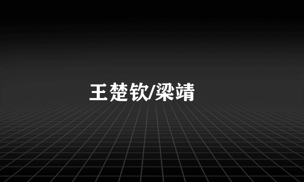 王楚钦/梁靖崑