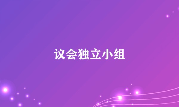 议会独立小组
