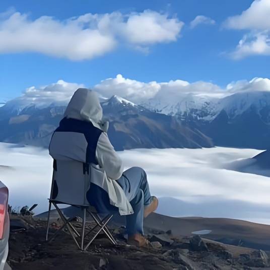小陶闯地球