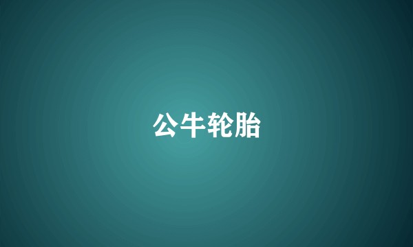 公牛轮胎