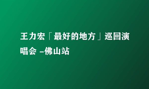 王力宏「最好的地方」巡回演唱会 -佛山站