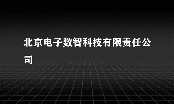 北京电子数智科技有限责任公司