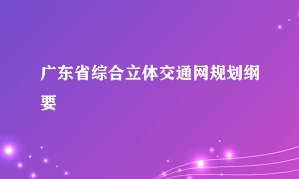 广东省综合立体交通网规划纲要