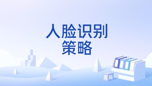 人脸识别策略