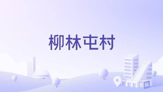 柳林屯村（河北省石家庄市栾城区柳林屯乡下辖村）
