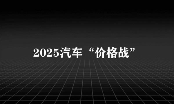 2025汽车“价格战”