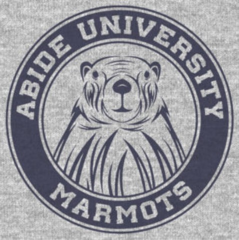 美国阿比德大学