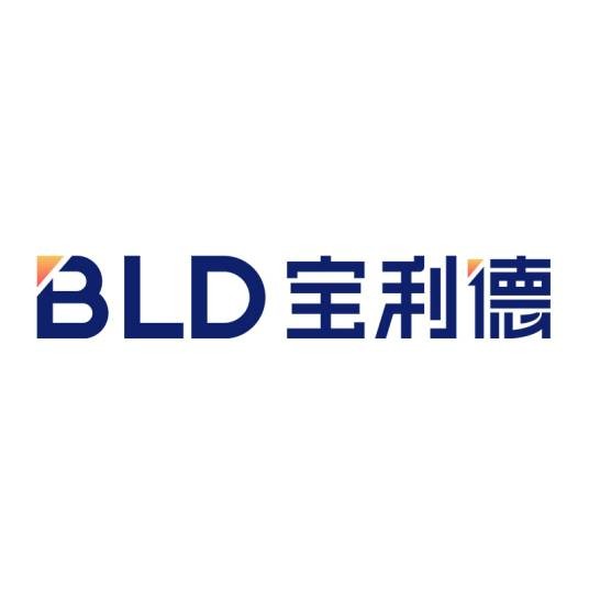 宝利德控股集团有限公司