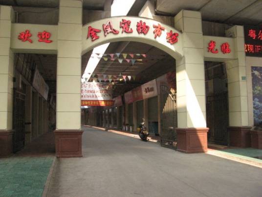 金凤宠物