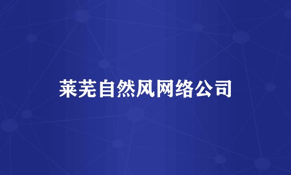 莱芜自然风网络公司