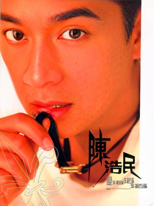 爱海滔滔（2004年陈浩民演唱的歌曲）