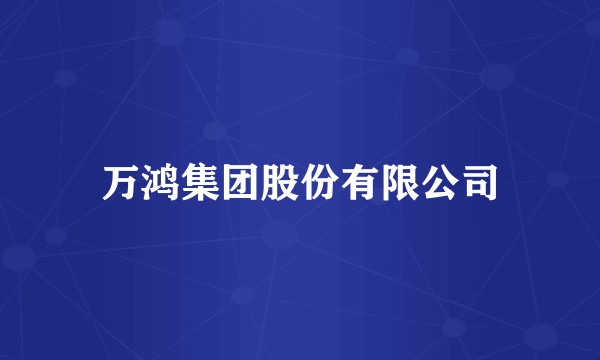 万鸿集团股份有限公司