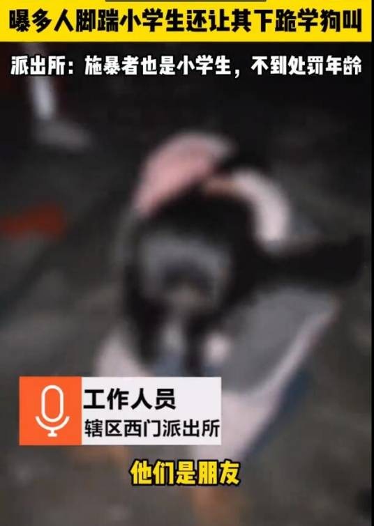 12·16凯里校园霸凌事件