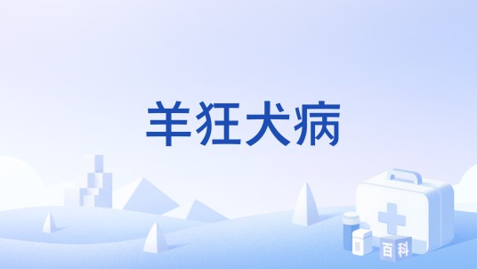 羊狂犬病