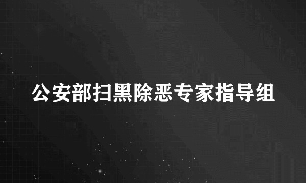 公安部扫黑除恶专家指导组