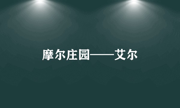 摩尔庄园——艾尔