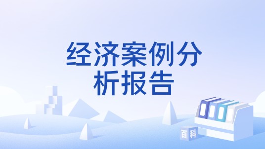 经济案例分析报告
