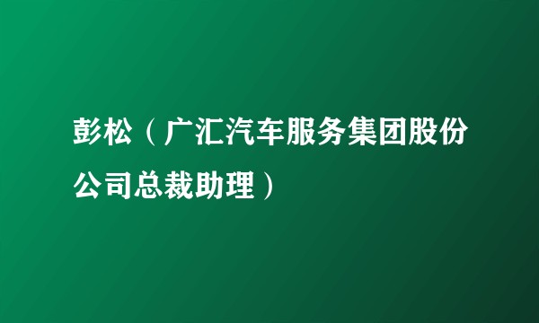彭松（广汇汽车服务集团股份公司总裁助理）