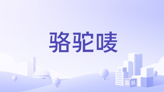 骆驼唛