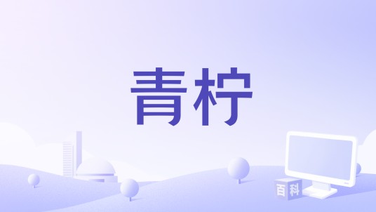 青柠（临沂禁毒微电影）