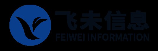 飞未信息技术股份有限公司