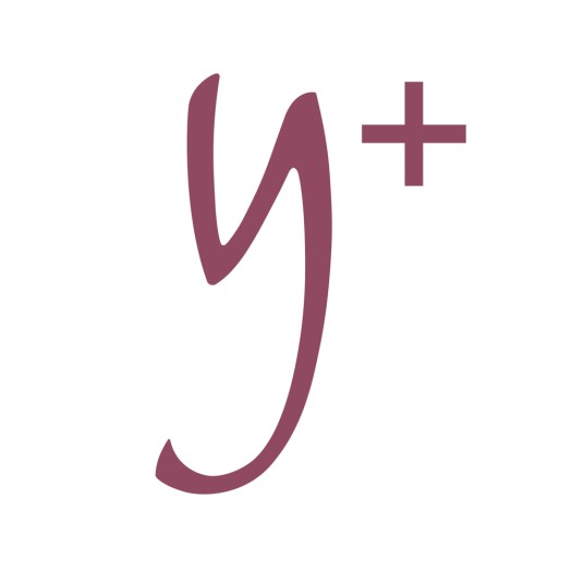 Y+（品牌）
