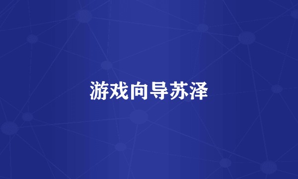 游戏向导苏泽