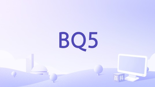 BQ5（同名网站）