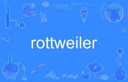 rottweiler