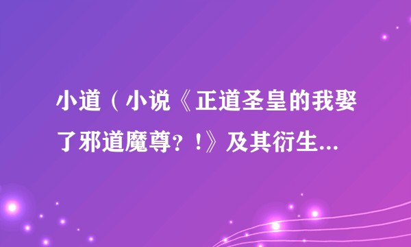 小道（小说《正道圣皇的我娶了邪道魔尊？!》及其衍生作品中的角色）