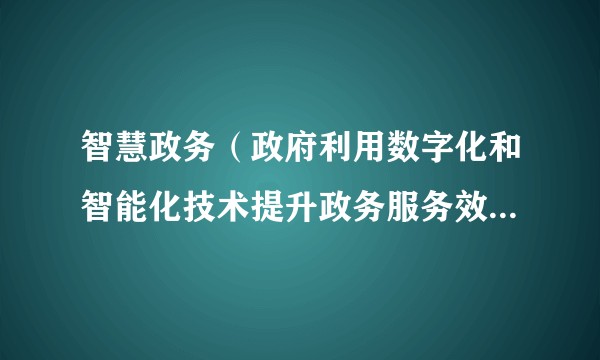 智慧政务（政府利用数字化和智能化技术提升政务服务效率与民生体验的创新模式）