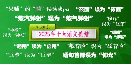 2025年十大语文差错