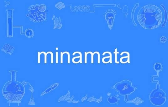 minamata(1956年日本水俣市汞中毒公害事件)