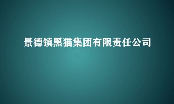 景德镇黑猫集团有限责任公司