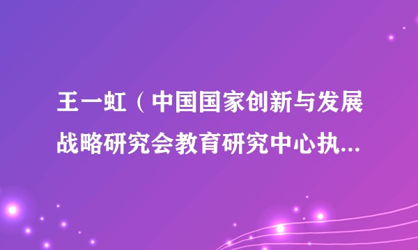王一虹（中国国家创新与发展战略研究会教育研究中心执行主任）