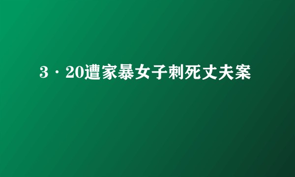 3·20遭家暴女子刺死丈夫案