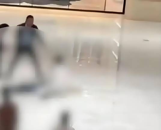 11·29合肥银泰中心坠楼事件