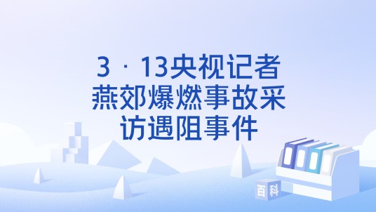 3·13央视记者燕郊爆燃事故采访遇阻事件