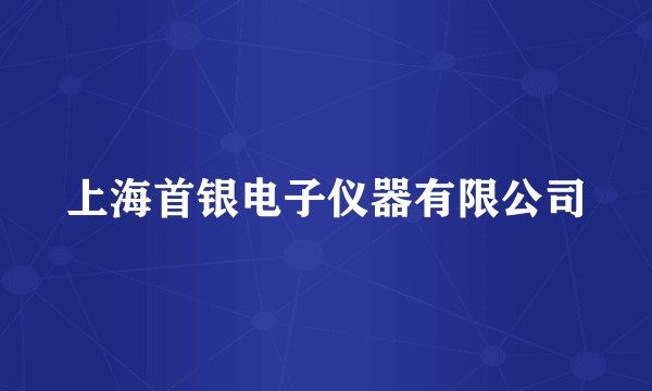 上海首银电子仪器有限公司